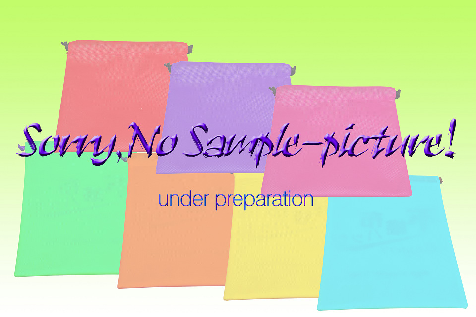 PVC不織布ショッピングバッグ画像